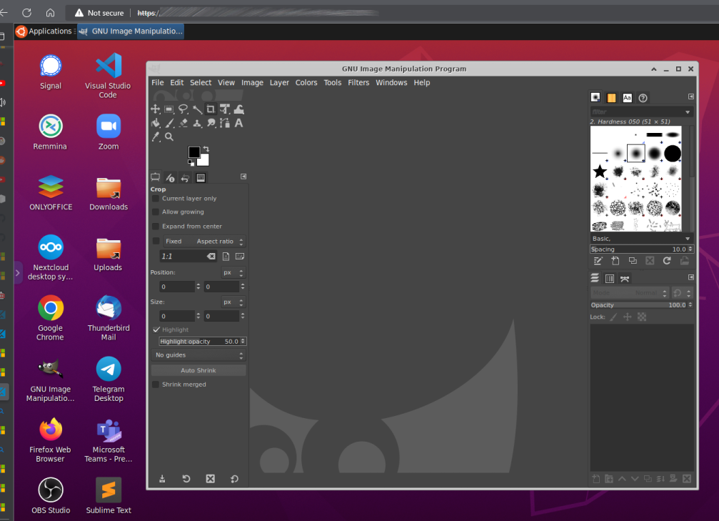 Kasm Ubuntu Desktop running GIMP