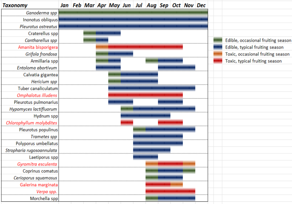 Image table of mushroom species by relative fruiting month